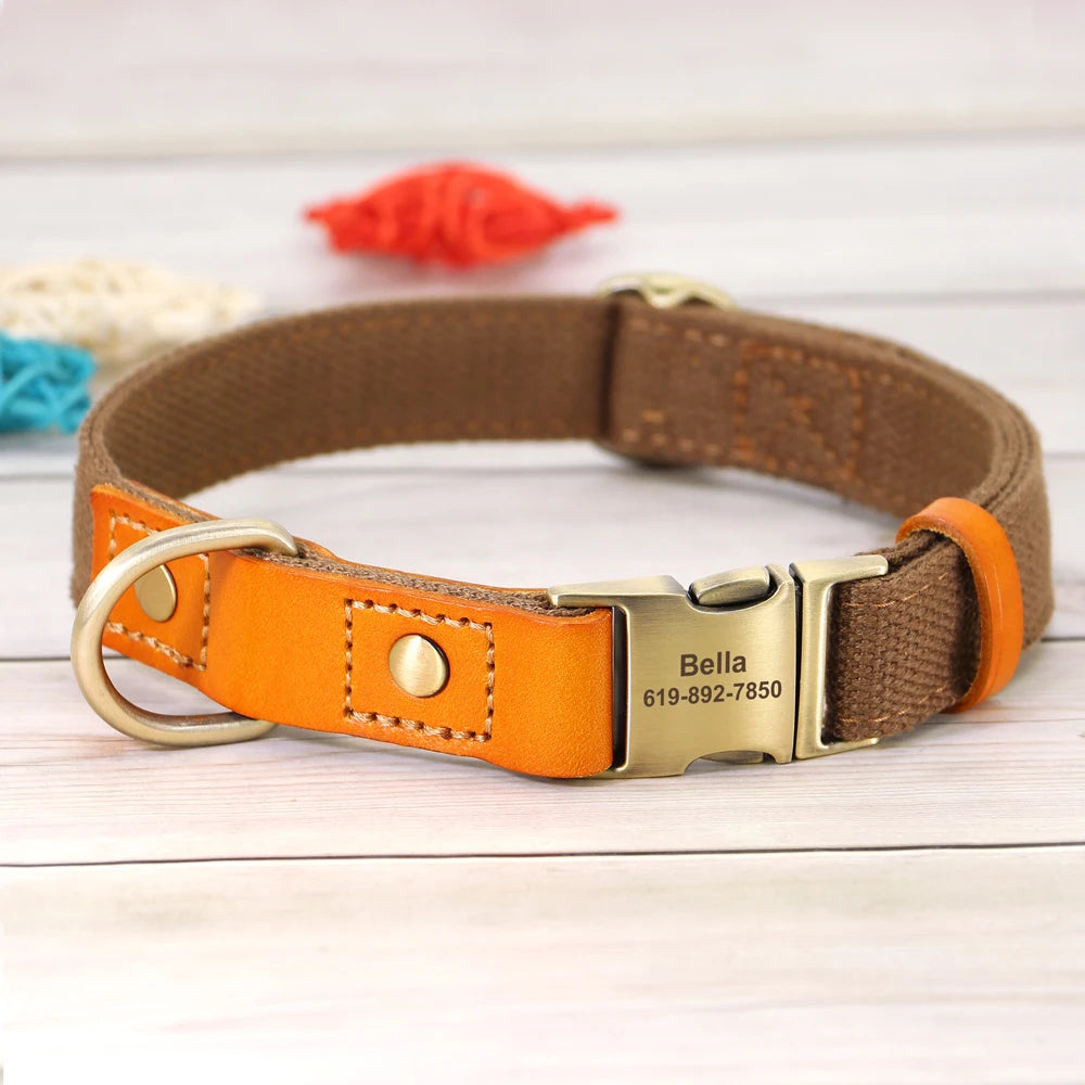 TailorFit Personalized Dog Collar