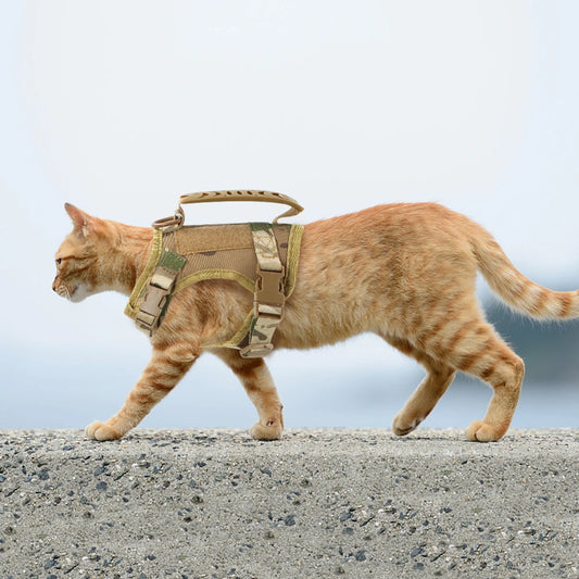 Tactical Cat Harness & Leash Set