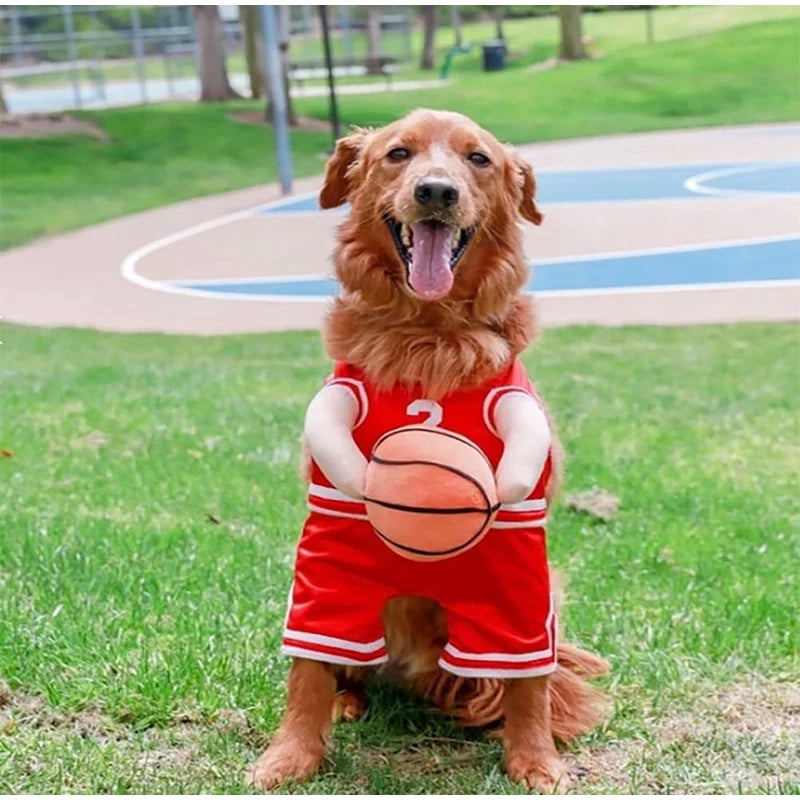All-Star Dog Costume