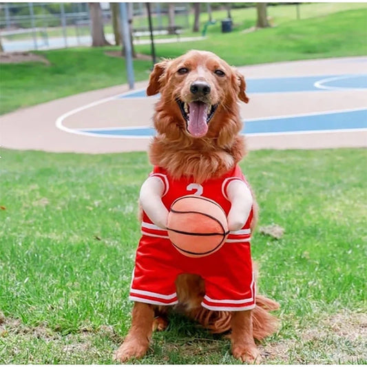 All-Star Dog Costume