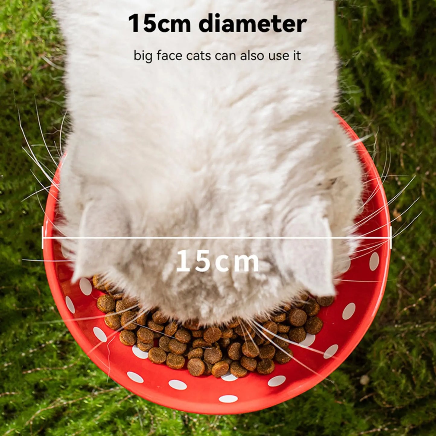 MushroomRise Elevated Cat Bowl