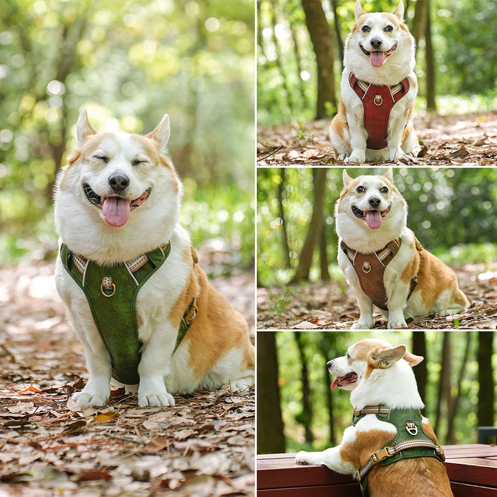 PawGuard Harness