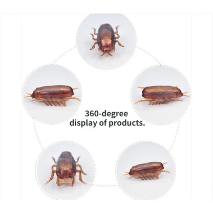 CreepyCritter Cockroach Toy