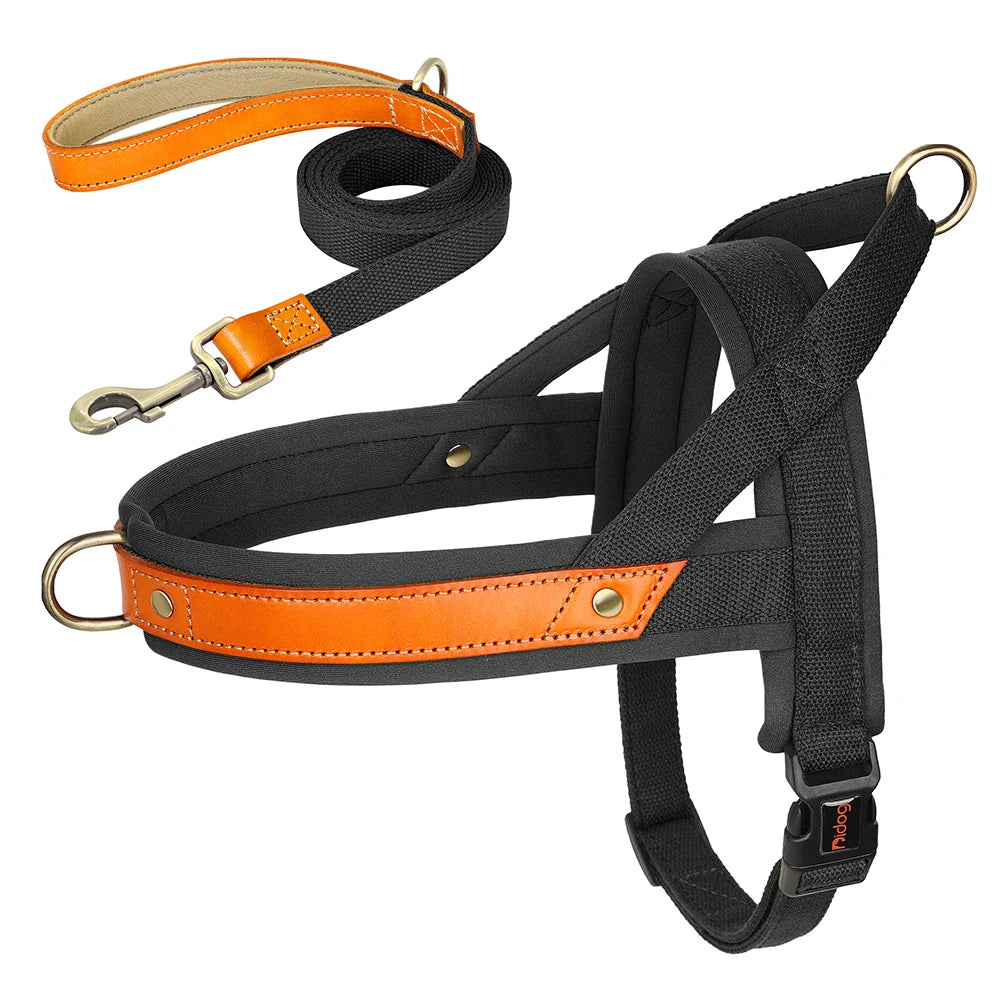 PawFit Nylon Collar, Harness & Leash Set