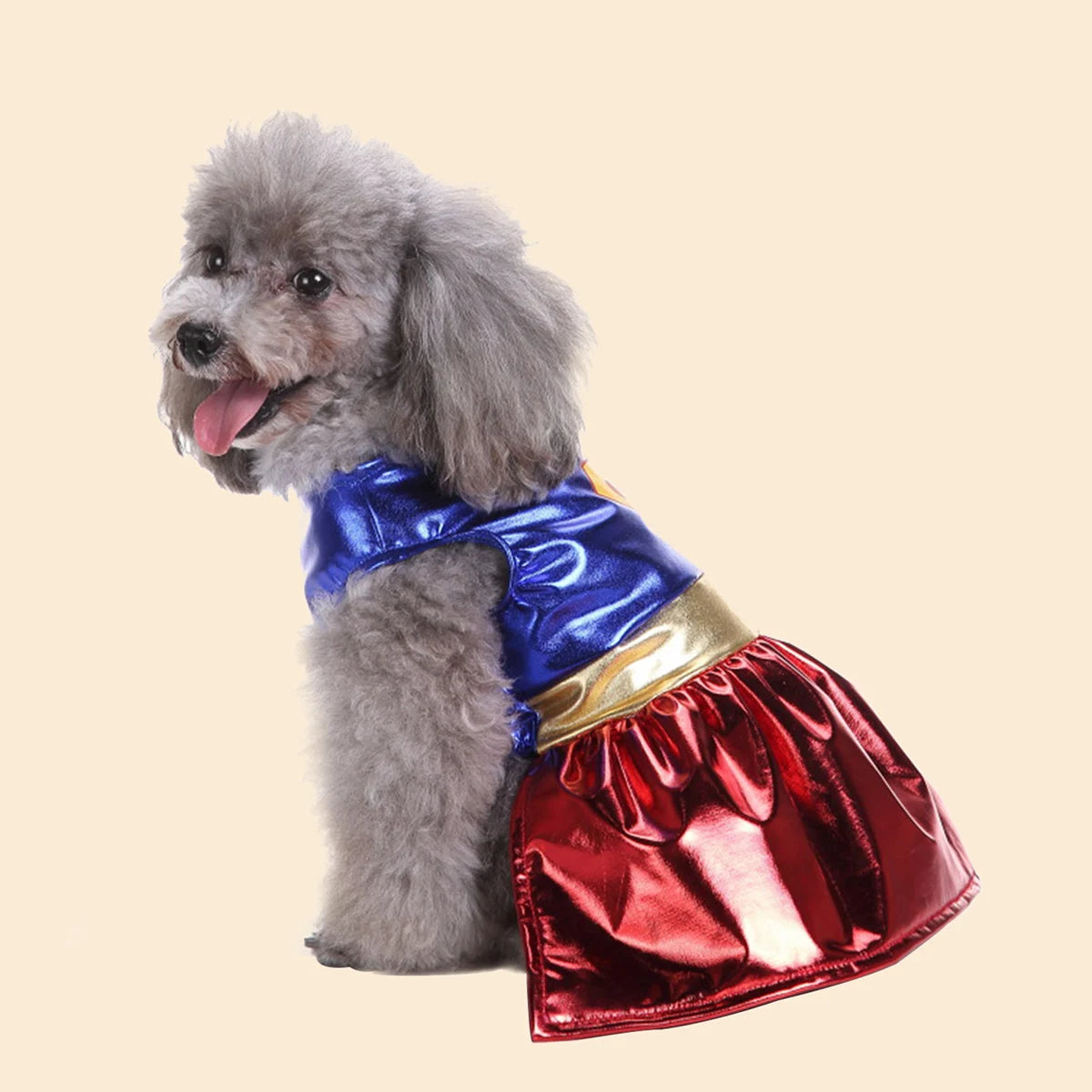 The SuperPaw Costume
