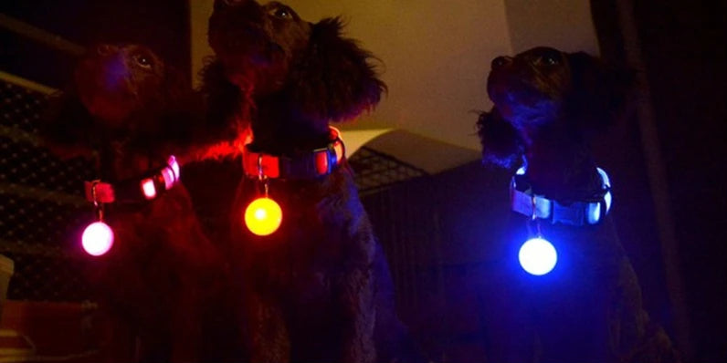 GlowGuard LED Collar