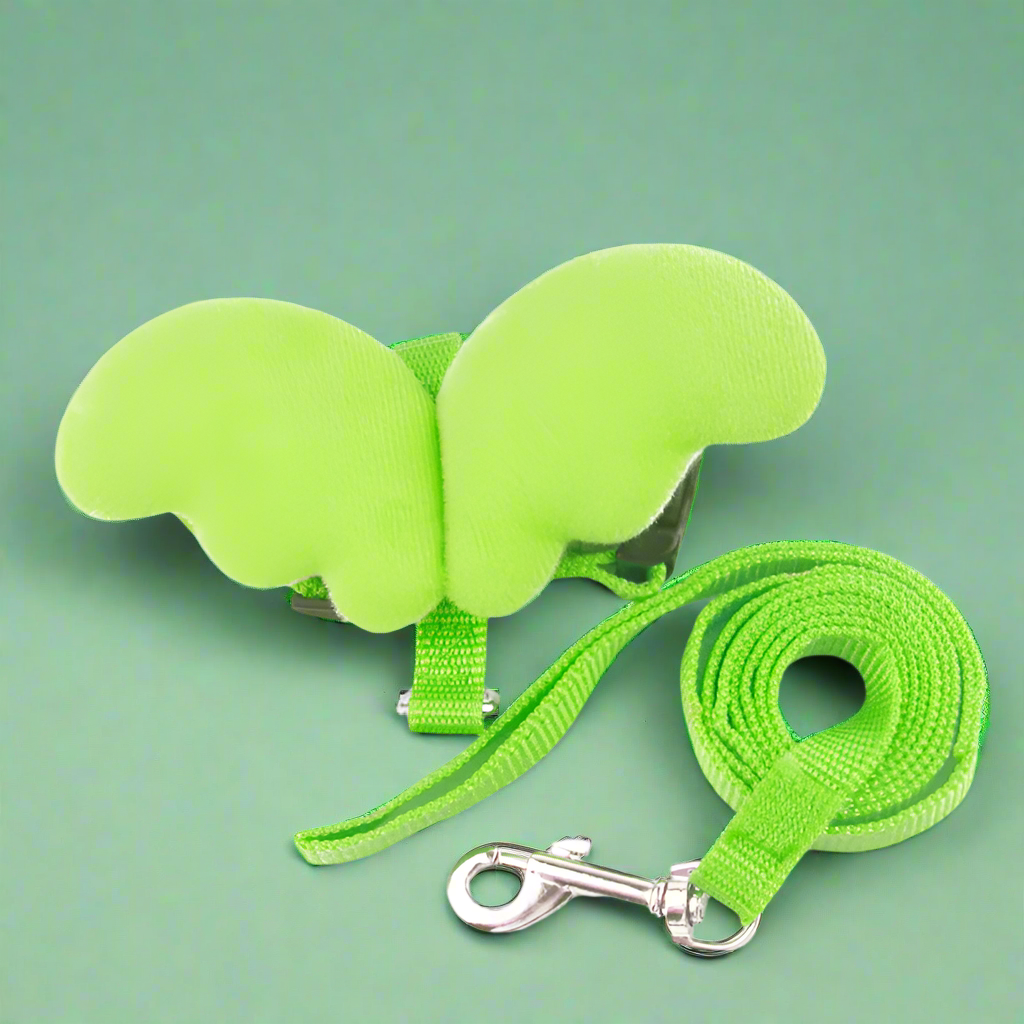 Angel Wings Harness & Leash Set