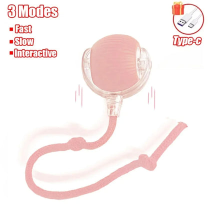 HuntSphere Smart Cat Ball