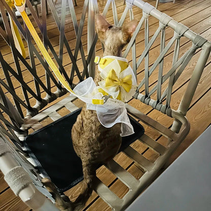 DreamBow Pet Harness & Leash Set