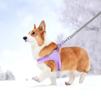 CozyPaw Winter Plush Harness