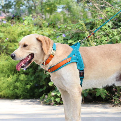 PawFit Nylon Collar, Harness & Leash Set