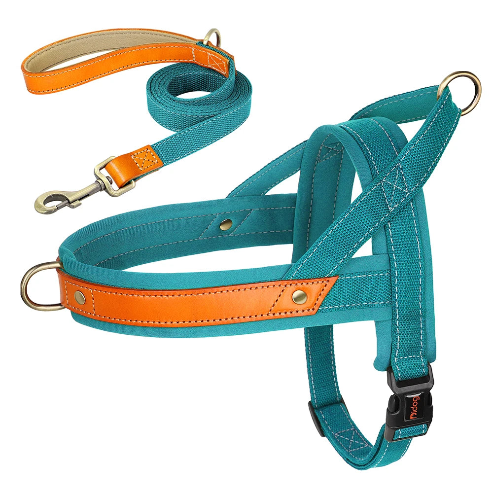 PawFit Nylon Collar, Harness & Leash Set