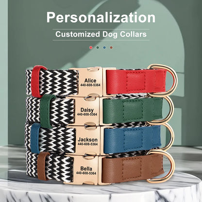 EliteTag Custom Nylon Dog Collar