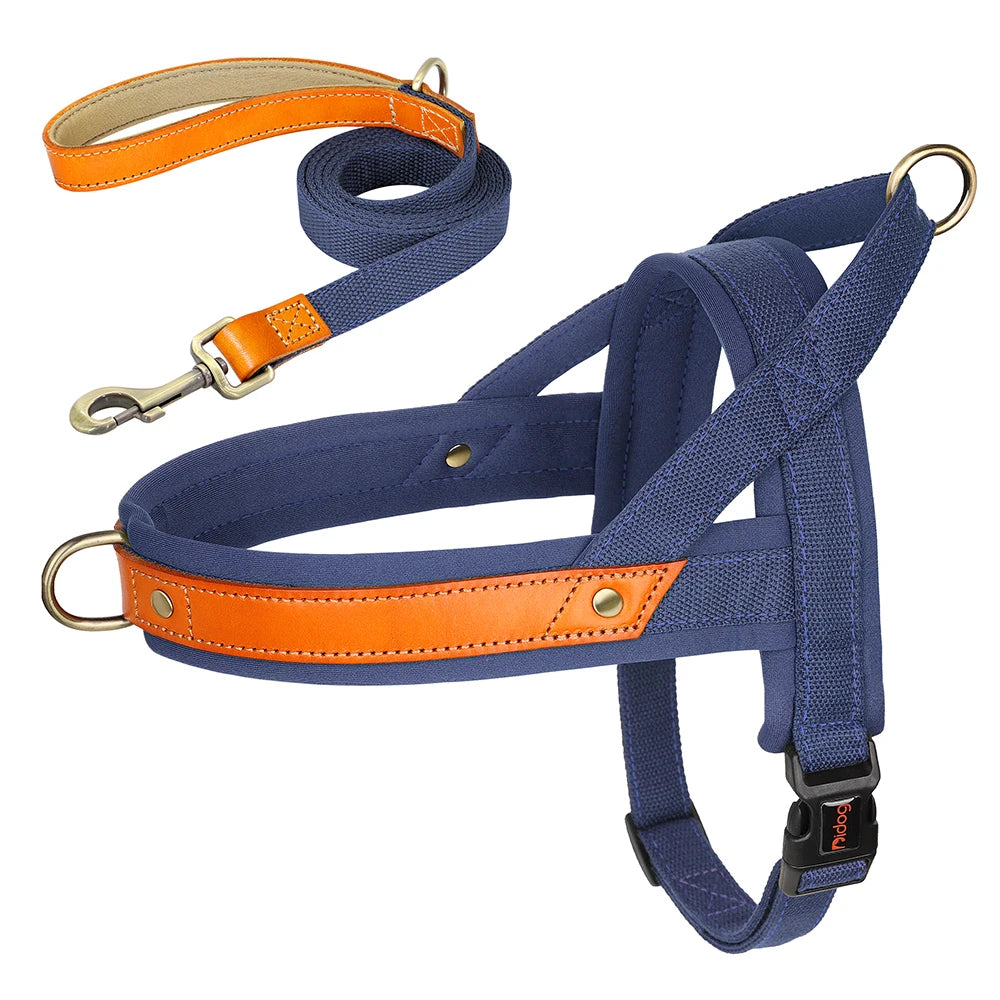 PawFit Nylon Collar, Harness & Leash Set