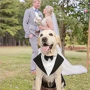 Paw Wedding Tuxedo