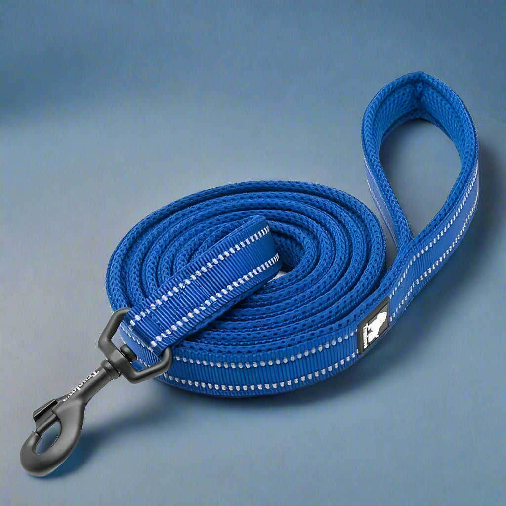 TrueLove Power&Comfort Leash