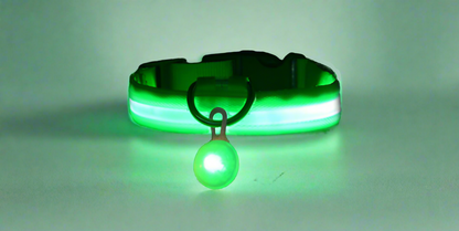 GlowGuard LED Collar