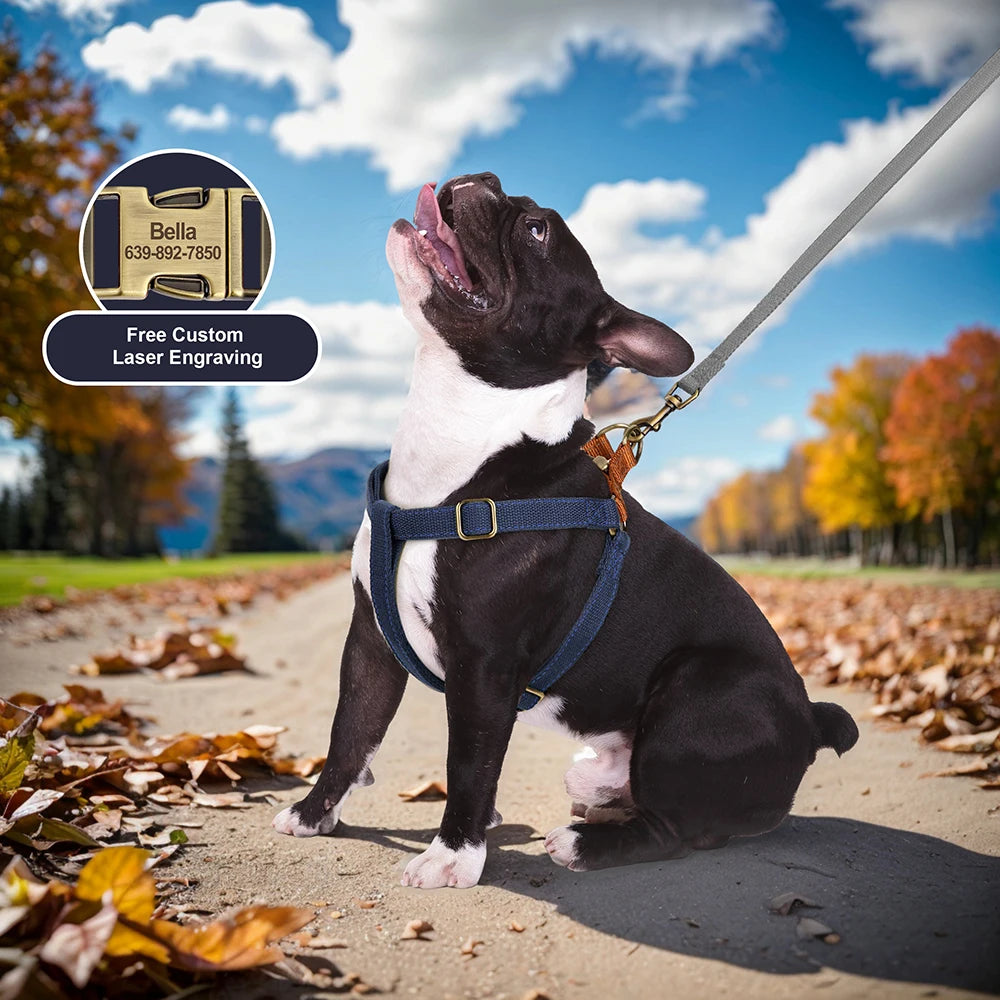 VentureTrail Personalized Reflective Harness