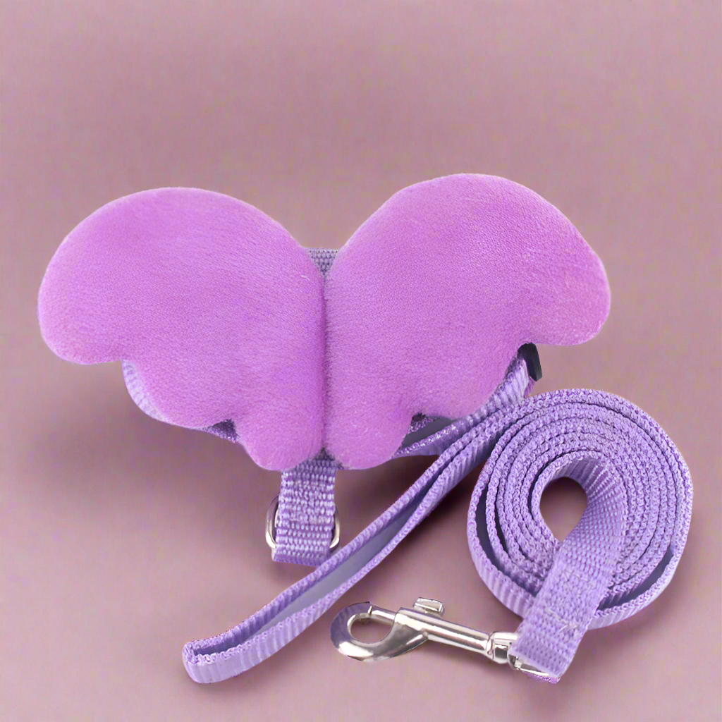 Angel Wings Harness & Leash Set