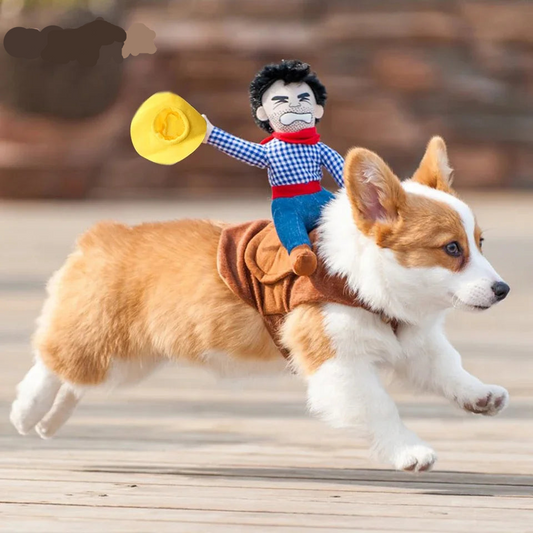 Rodeo Pup Costume