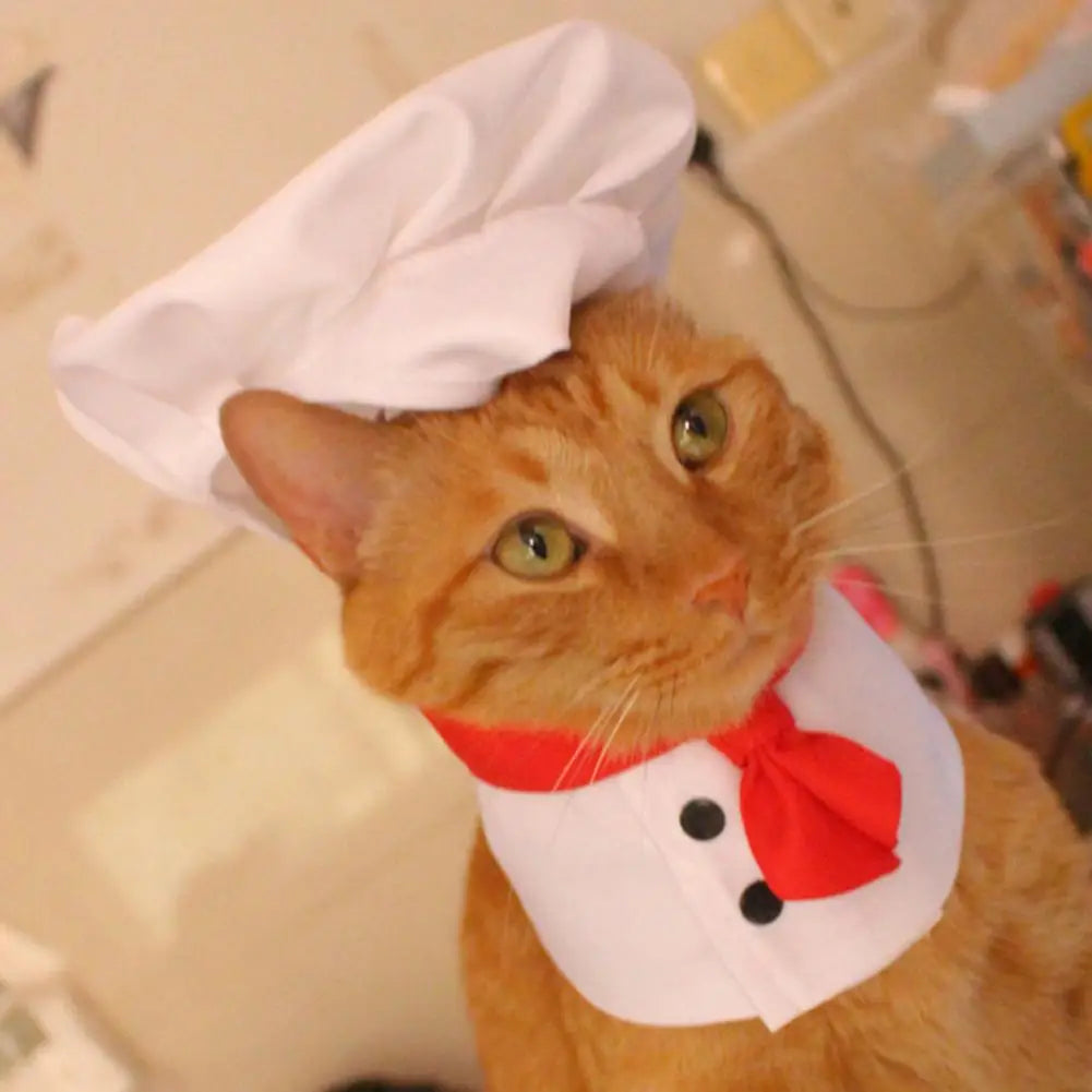 MasterPaw Chef Hat