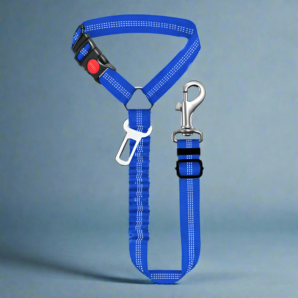 SafePawRide Leash