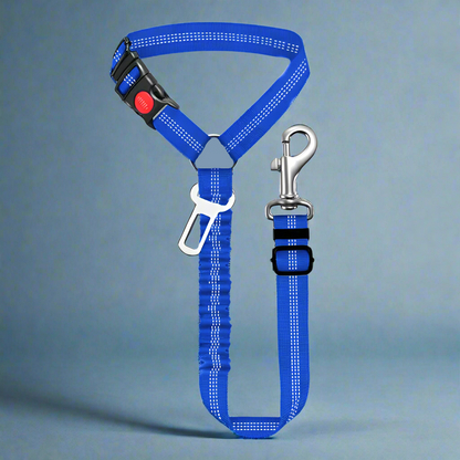 SafePawRide Leash