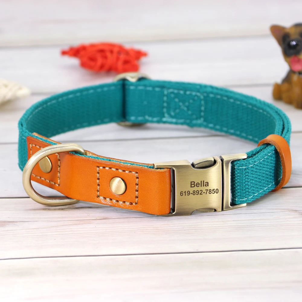 TailorFit Personalized Dog Collar