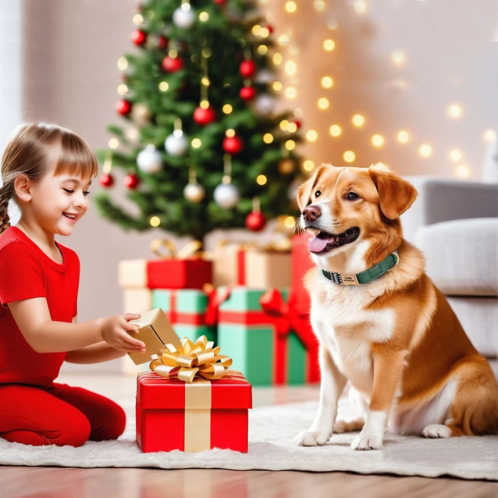 EliteTag Custom Nylon Dog Collar