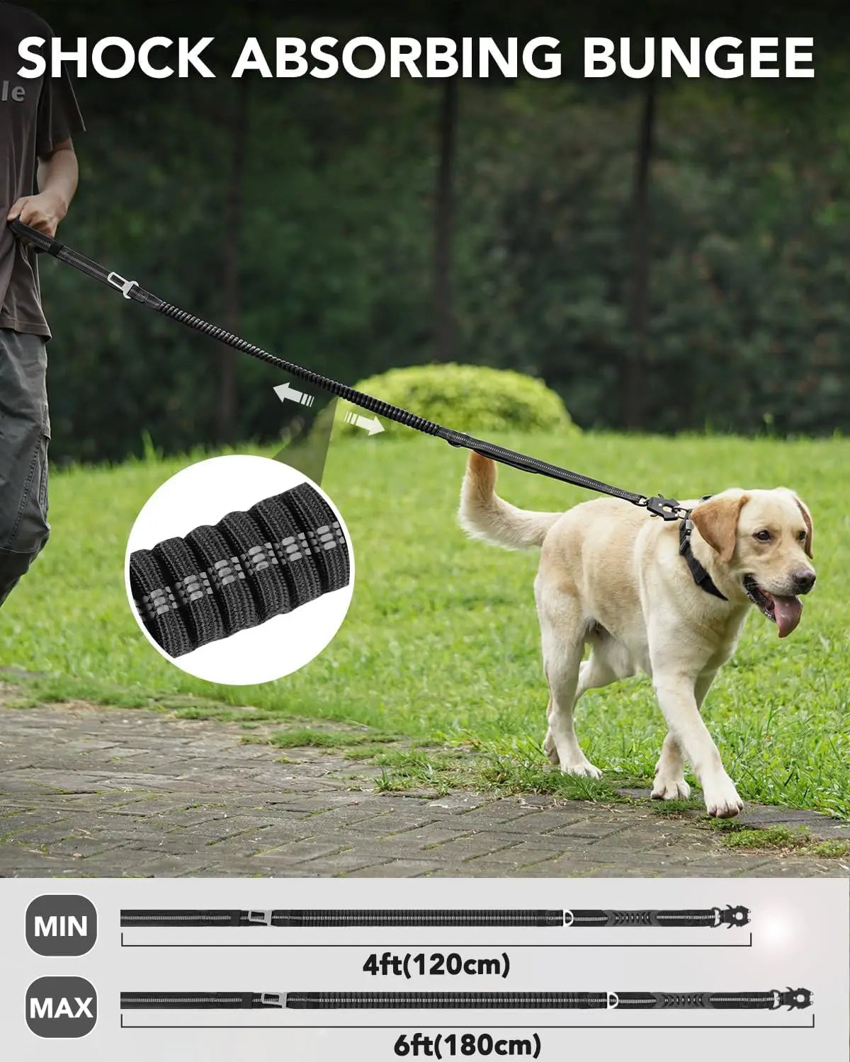 PowerPaw Heavy-Duty Leash