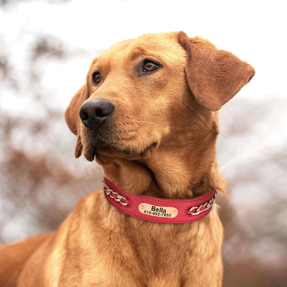 LuxeGuard Personalized Dog Collar