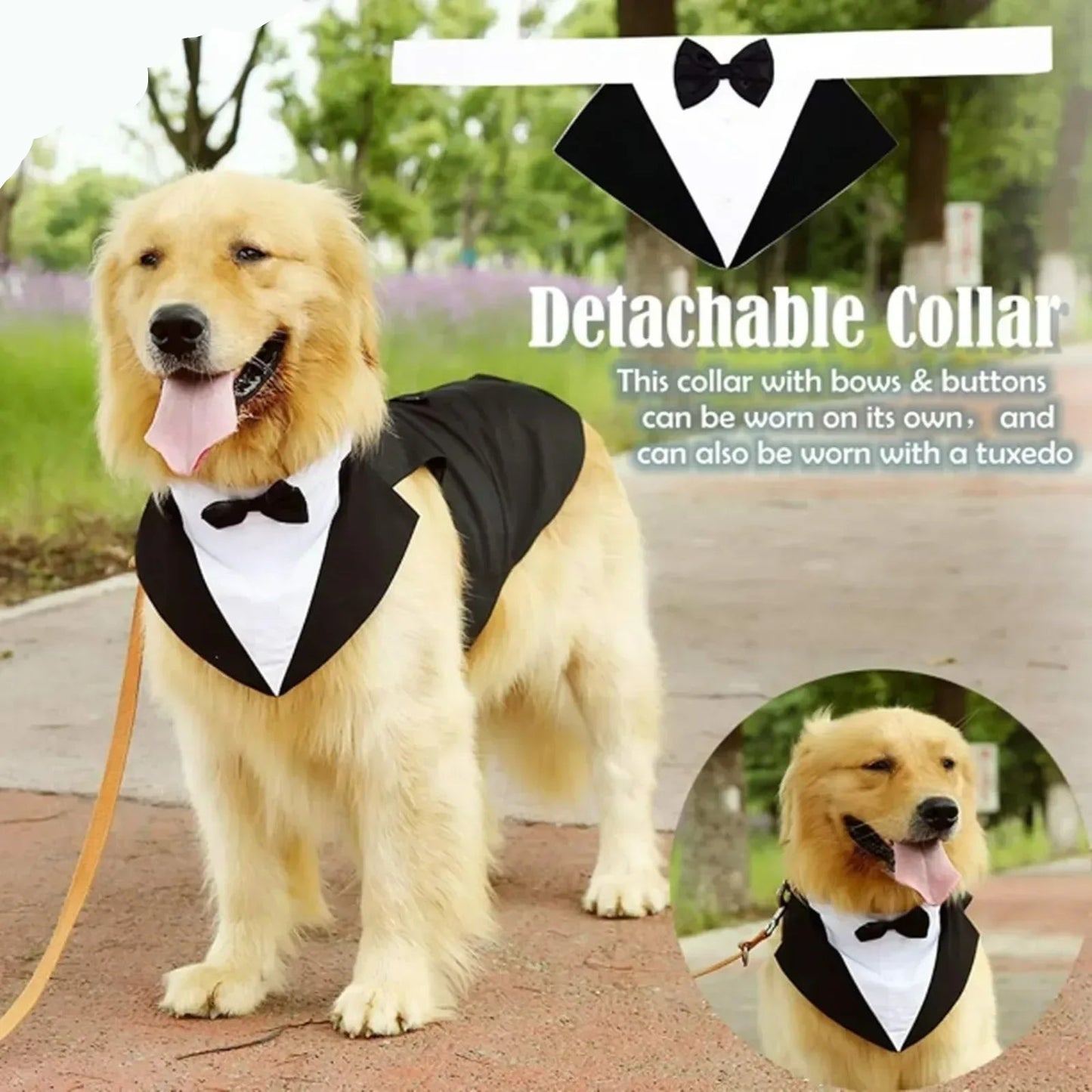 Paw Wedding Tuxedo