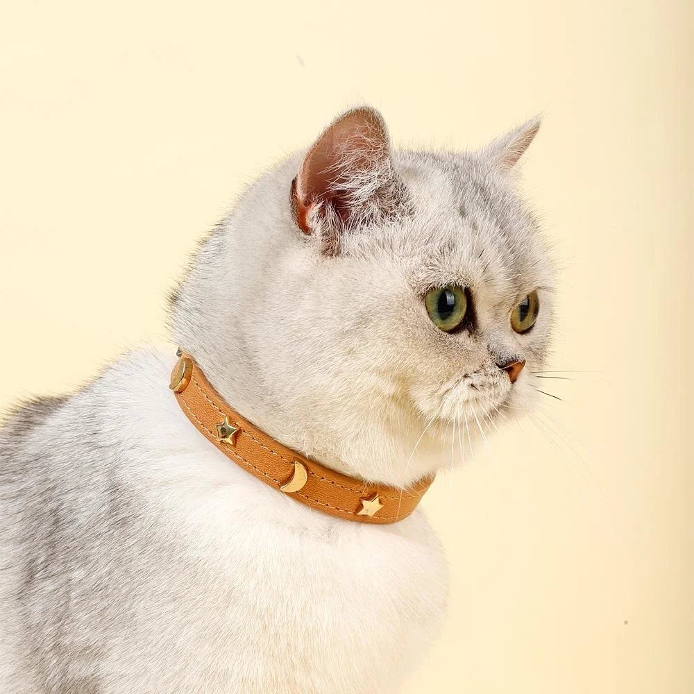 StarryPaws Collar