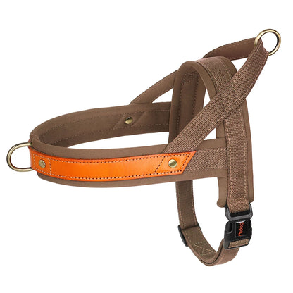 PawFit Nylon Collar, Harness & Leash Set