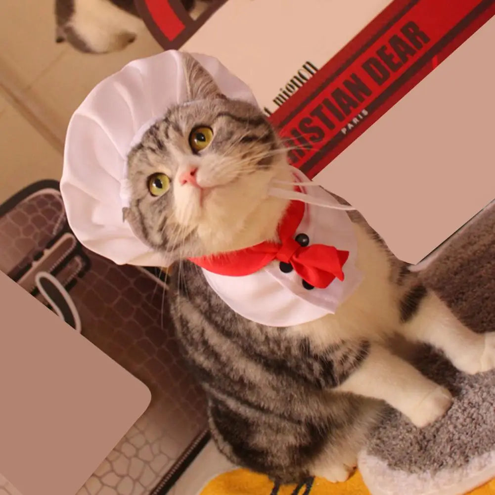 MasterPaw Chef Hat