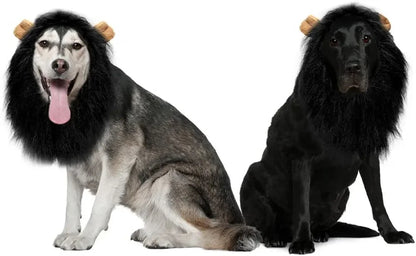 The Mighty Mane Costume