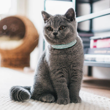 GlamourPaws Suede Collar