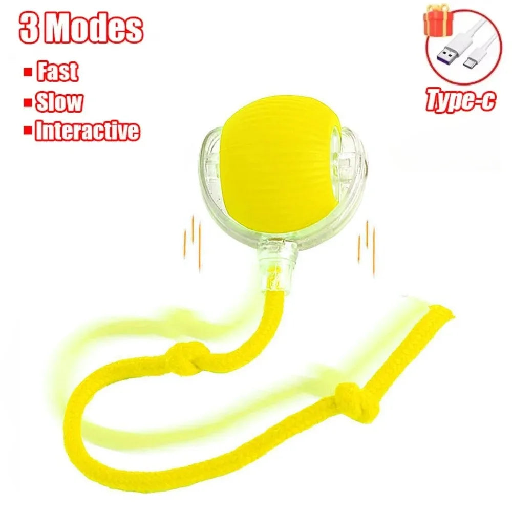 HuntSphere Smart Cat Ball