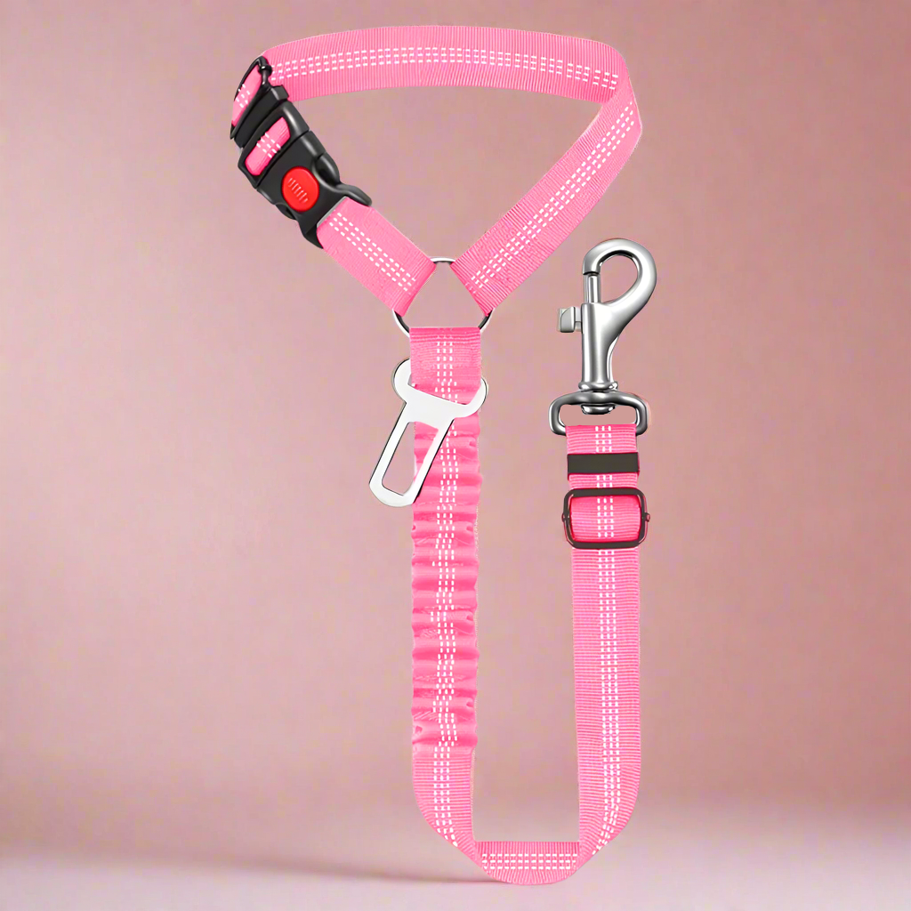 SafePawRide Leash