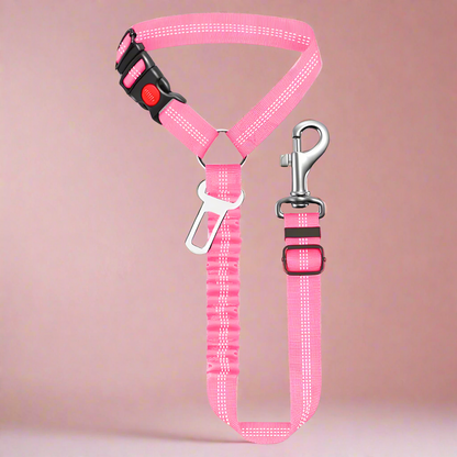 SafePawRide Leash
