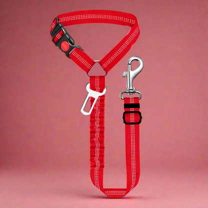 SafePawRide Leash