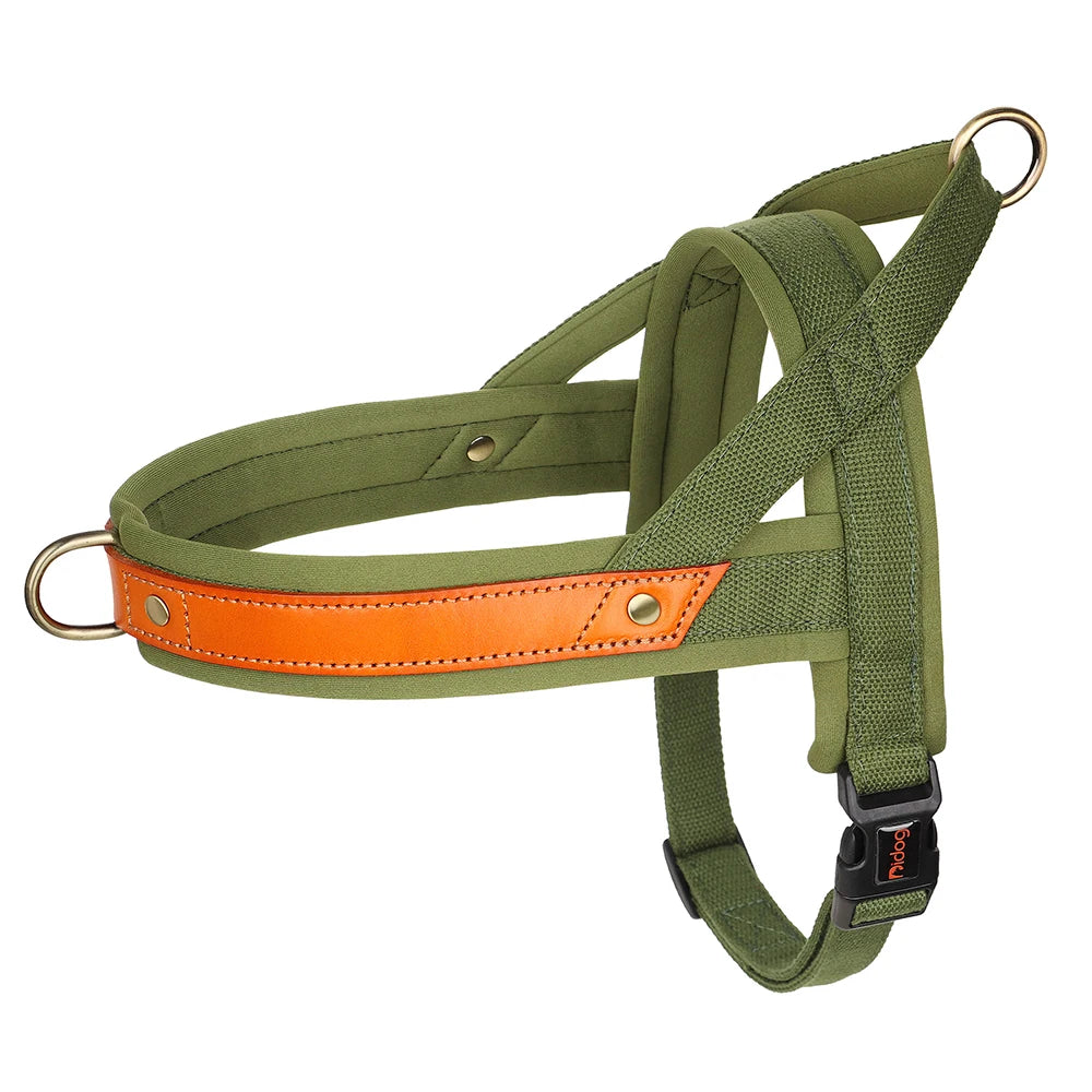PawFit Nylon Collar, Harness & Leash Set
