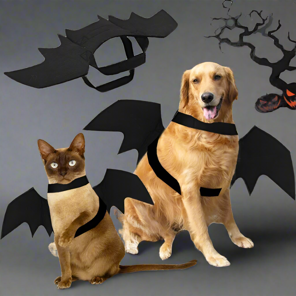 Midnight Wings Costume