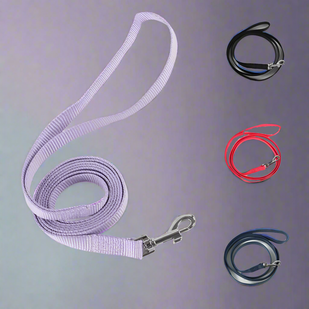 EasyStroll Leash Buckle