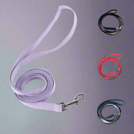 EasyStroll Leash Buckle
