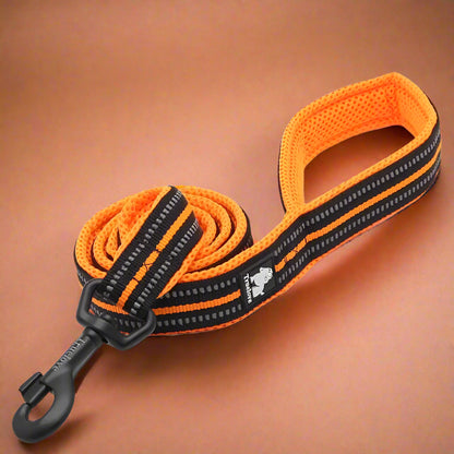 TrueLove Power&Comfort Leash