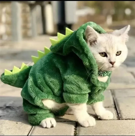 DinoHoodie