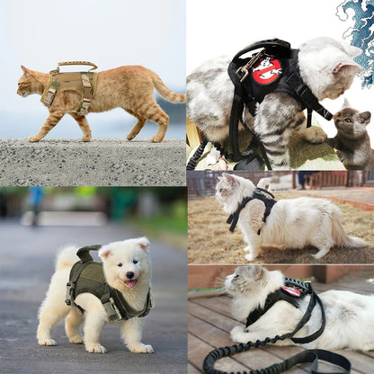 Tactical Cat Harness & Leash Set