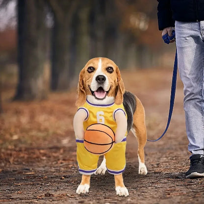 All-Star Dog Costume