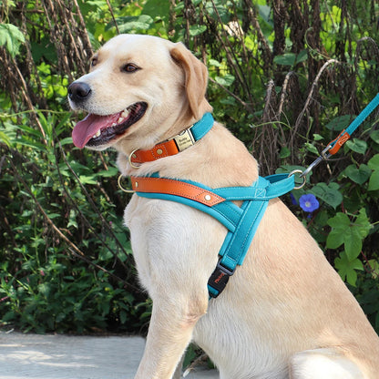 PawFit Nylon Collar, Harness & Leash Set